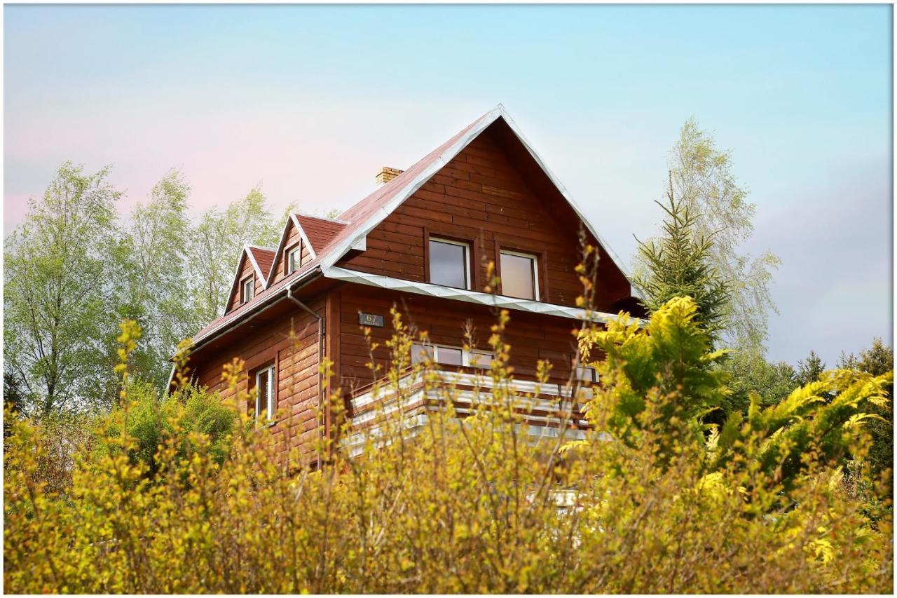 Agroturystyka Na Skarpie Wizajny Экстерьер фото