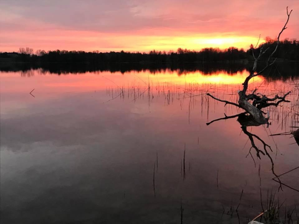 Agroturystyka Na Skarpie Wizajny Экстерьер фото